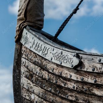 The Vikings are Coming!